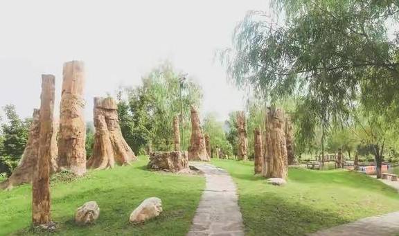 原创 藏在本溪水洞的千年化石王国,看似普通的‘木头’,却是无价之宝3