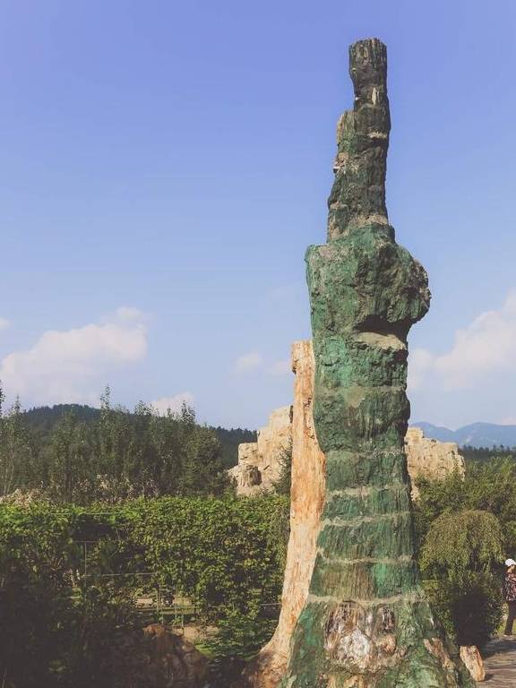 原创 藏在本溪水洞的千年化石王国,看似普通的‘木头’,却是无价之宝4