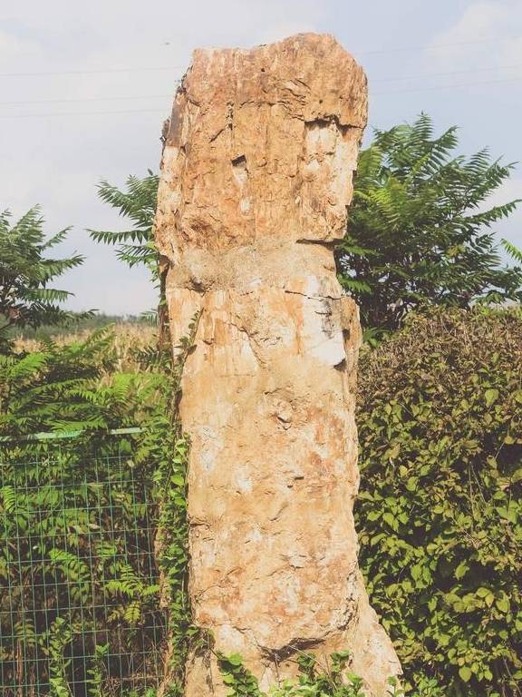 原创 藏在本溪水洞的千年化石王国,看似普通的‘木头’,却是无价之宝9