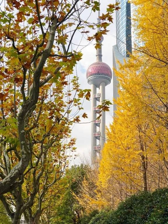 原创 陆家嘴高楼群里的冬日美景,你发现了吗?1