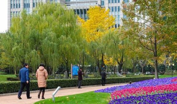 原创 陆家嘴高楼群里的冬日美景,你发现了吗?3