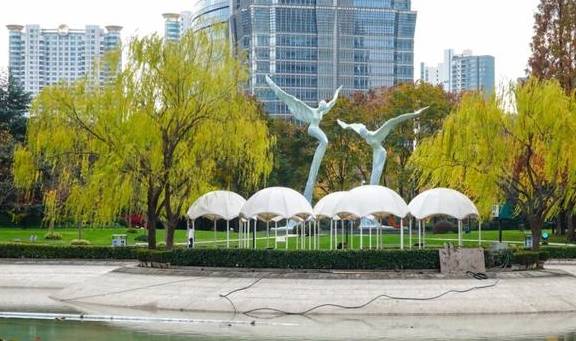 原创 陆家嘴高楼群里的冬日美景,你发现了吗?4