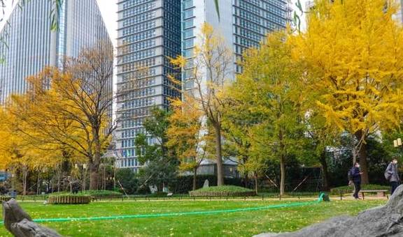 原创 陆家嘴高楼群里的冬日美景,你发现了吗?6