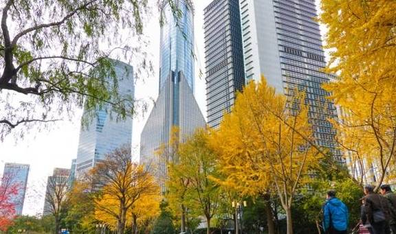 原创 陆家嘴高楼群里的冬日美景,你发现了吗?7