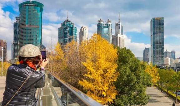 原创 陆家嘴高楼群里的冬日美景,你发现了吗?10