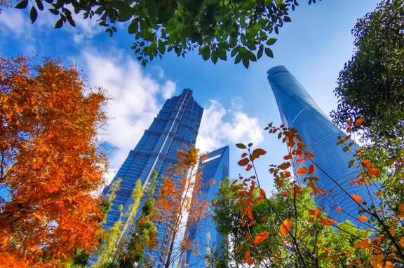 原创 陆家嘴高楼群里的冬日美景,你发现了吗?12