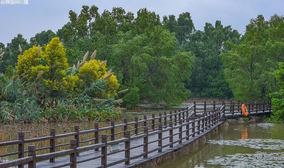 原创 探索广州“后花园”,南沙度假深度游,吃喝玩乐住最佳推荐2