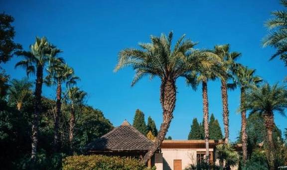 原创 国内最好的酒店集团，柏联必须拥有姓名1