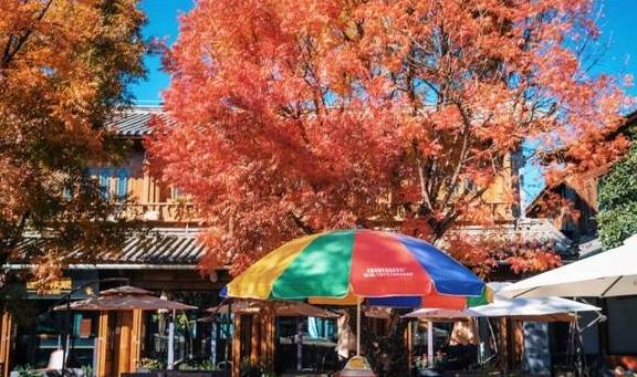 原创 国内最好的酒店集团，柏联必须拥有姓名4