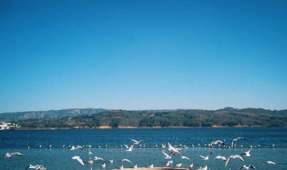 原创 国内最好的酒店集团，柏联必须拥有姓名5