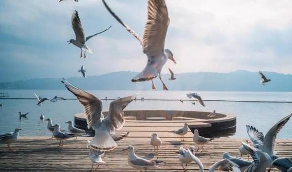 原创 国内最好的酒店集团，柏联必须拥有姓名11