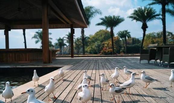 原创 国内最好的酒店集团，柏联必须拥有姓名13