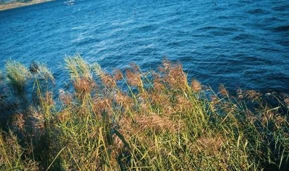 原创 国内最好的酒店集团，柏联必须拥有姓名15