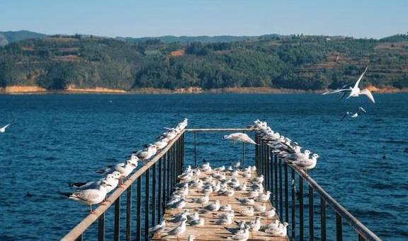 原创 国内最好的酒店集团，柏联必须拥有姓名10