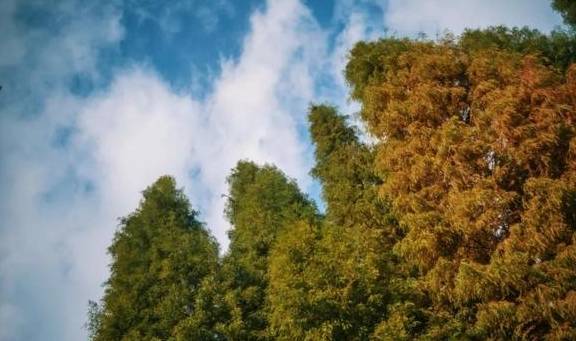 原创 国内最好的酒店集团，柏联必须拥有姓名17