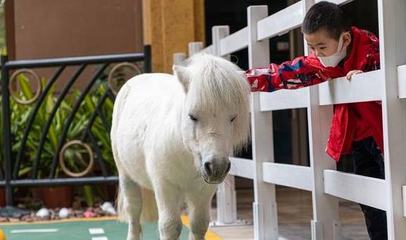 原创 你知道长隆有十大菜系吗?吃货可不能错过的打卡新姿势来了15