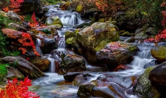 原创 实拍上海静安寺夜景，灯红酒绿、流光溢彩，你看看繁华程度如何？3