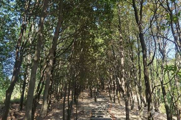 原创 广东清远“北峡”徒步，风景美如山水画卷，叹：媲美香港麦理浩径6