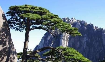 原创 安徽省各城市和宝鸡市最相似的地方10