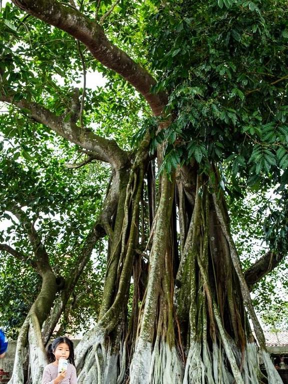 原创 数数水缸就知道谁是土豪，火山古石村里的奇异风俗6
