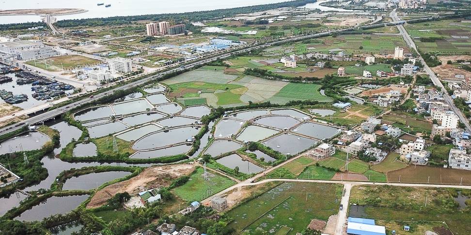 原创 航拍海南农村,独栋乡村别墅,依山傍水风景好6