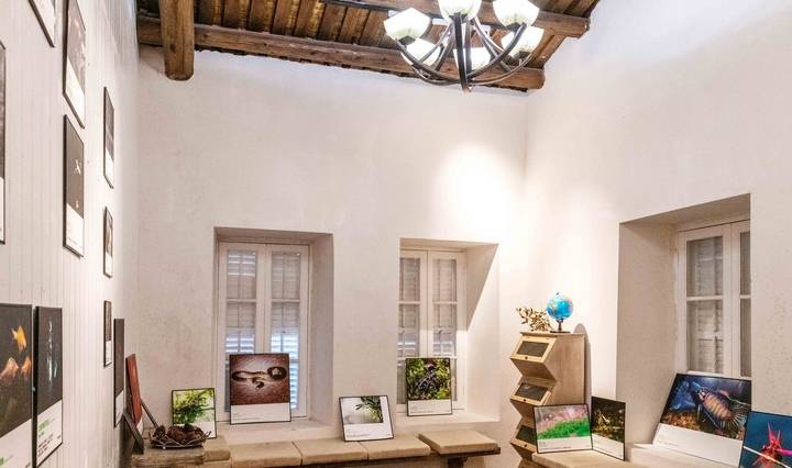 原创 福州最适合观赏云海的景区,超适合周末游,是处进化心灵的好地方9