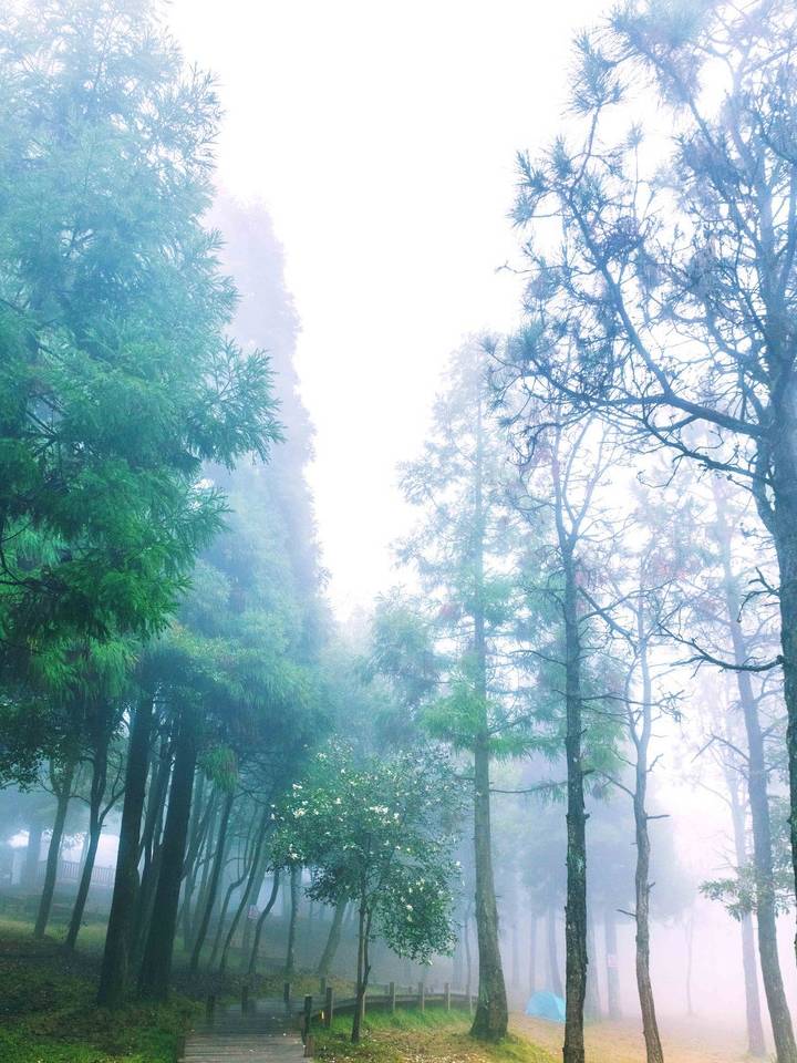 原创 福州最适合观赏云海的景区,超适合周末游,是处进化心灵的好地方14