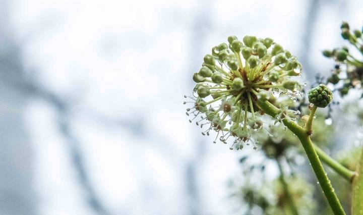 原创 福州最适合观赏云海的景区,超适合周末游,是处进化心灵的好地方16