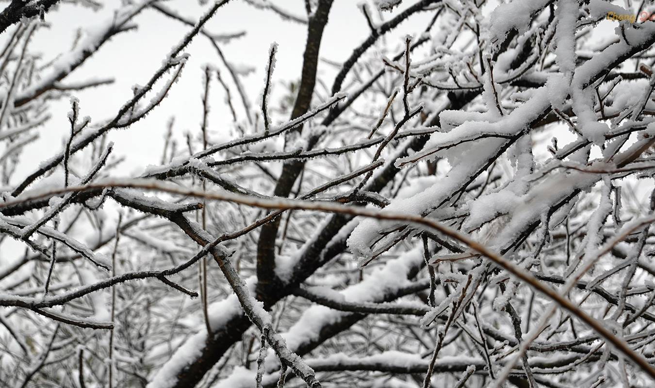 原创 重庆难得的滑雪胜地,冬日里的金佛山,南方人也能看雪了5
