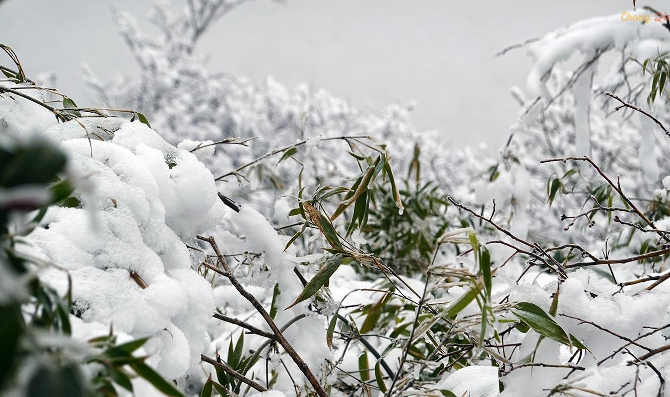原创 重庆难得的滑雪胜地,冬日里的金佛山,南方人也能看雪了6