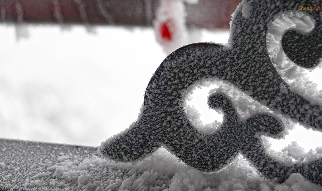 原创 重庆难得的滑雪胜地,冬日里的金佛山,南方人也能看雪了8