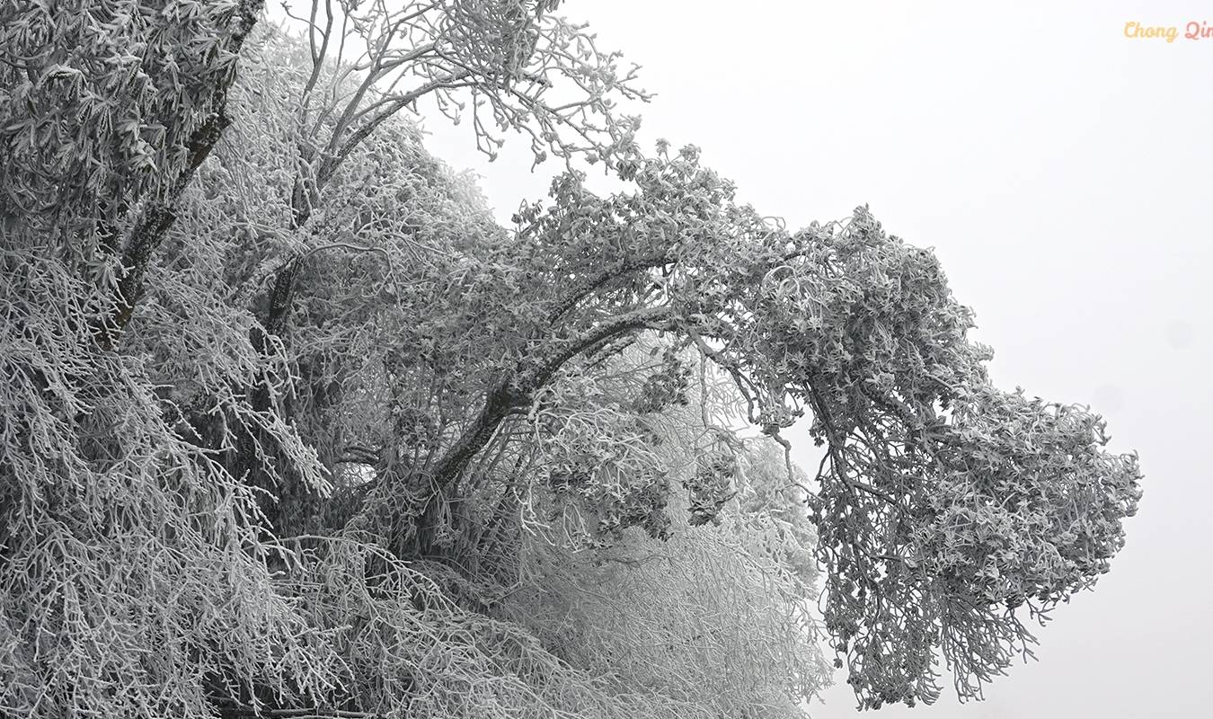 原创 重庆难得的滑雪胜地,冬日里的金佛山,南方人也能看雪了11
