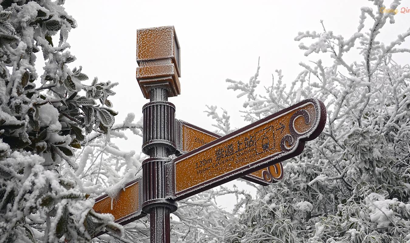 原创 重庆难得的滑雪胜地,冬日里的金佛山,南方人也能看雪了9