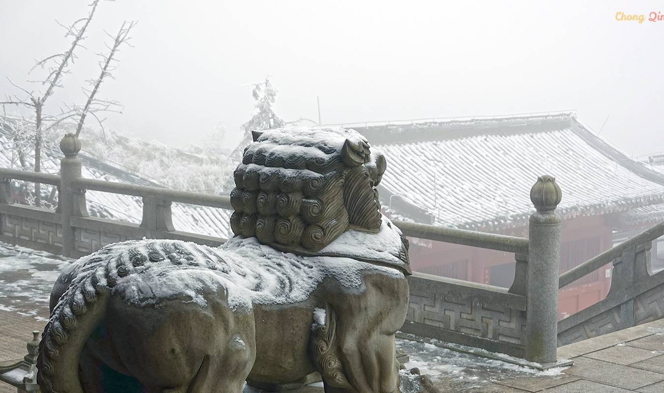 原创 重庆难得的滑雪胜地,冬日里的金佛山,南方人也能看雪了12
