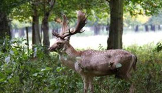 原创 走进爱尔兰,这里有8个奇特之处,您知道几个?6