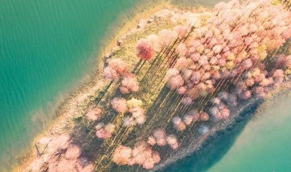 原创 南方拍客看广东|一周精选 新年新气象13