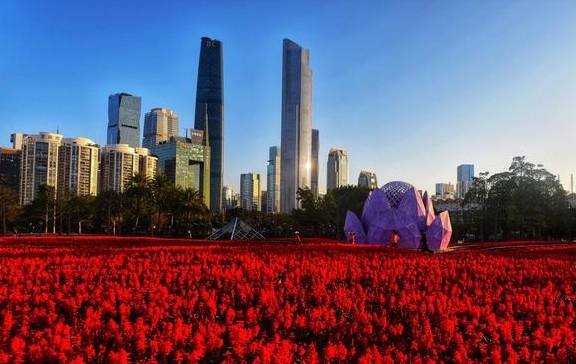 原创 南方拍客看广东|一周精选 新年新气象14