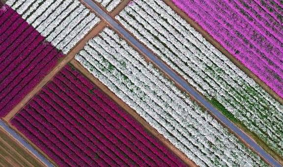 原创 南方拍客看广东|一周精选 新年新气象5