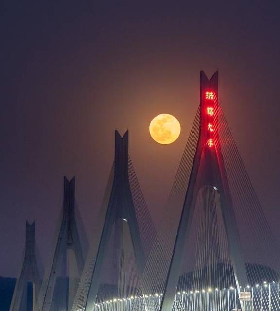 原创 南方拍客看广东|一周精选 新年新气象6