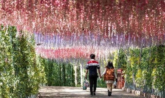 原创 南方拍客看广东|一周精选 新年新气象8