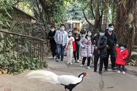 原创 南方拍客看广东|一周精选 新年新气象15