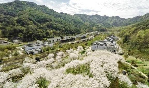 原创 元旦寒假尾单，不加价住进安缦同宗的中式宅院里9