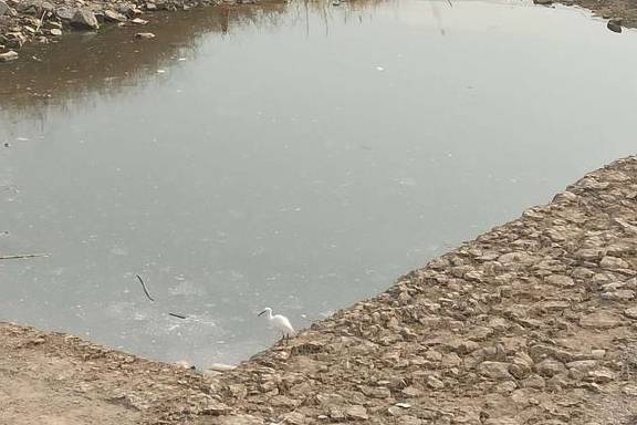 原创 难得一见的咸阳湖结冰——太漂亮了5