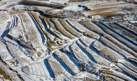 原创 银装素裹的日子,我在皑皑白雪中寻找静谧和美丽,遇见醉美的青岛3