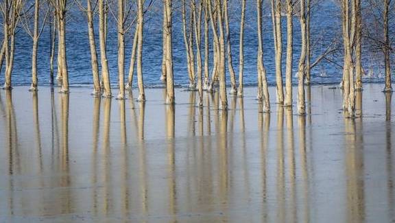 原创 银装素裹的日子,我在皑皑白雪中寻找静谧和美丽,遇见醉美的青岛13