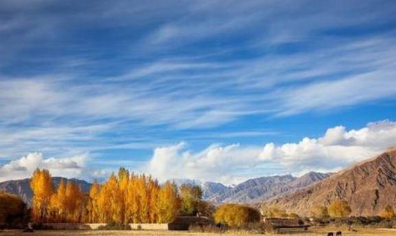 原创 刀郎文化发源地：拥有西北最大的平原水库，清水伴随沙漠真是一绝4