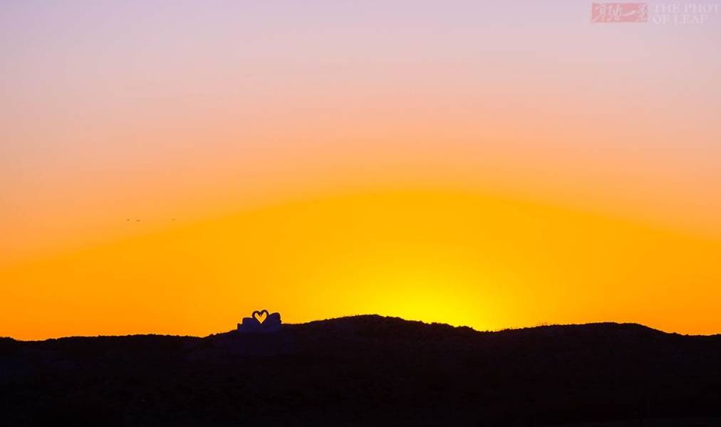 原创 真正的天鹅湖,一个远离人烟的纯洁之地,太美了!就在国内3