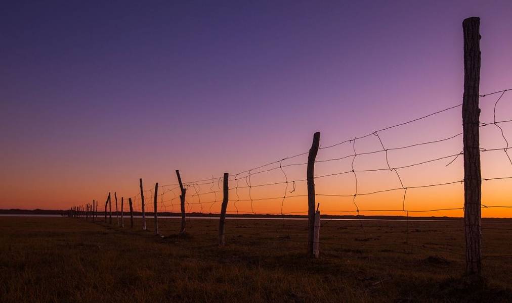 原创 真正的天鹅湖,一个远离人烟的纯洁之地,太美了!就在国内9