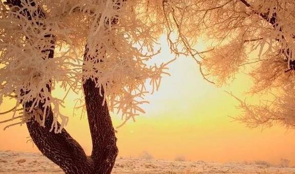 原创 冬天,东北自驾赏雾凇不过瘾?还有这些美食等着你!2