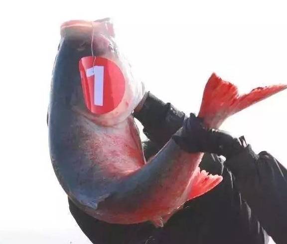 原创 冬天,东北自驾赏雾凇不过瘾?还有这些美食等着你!6